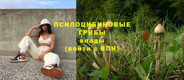 прущие грибы Арсеньев