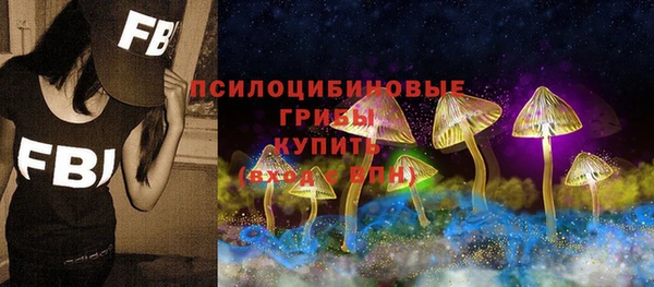 прущие грибы Арсеньев
