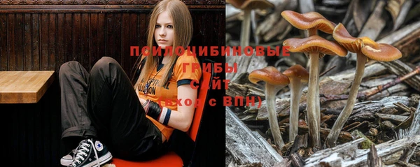 прущая мука Армянск