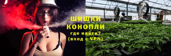 прущие грибы Арсеньев