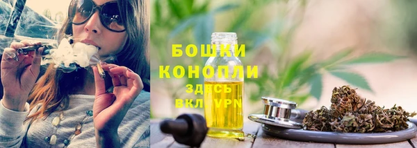 прущие грибы Арсеньев