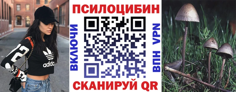 Псилоцибиновые грибы мухоморы  где продают   Рудня 